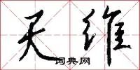 天维