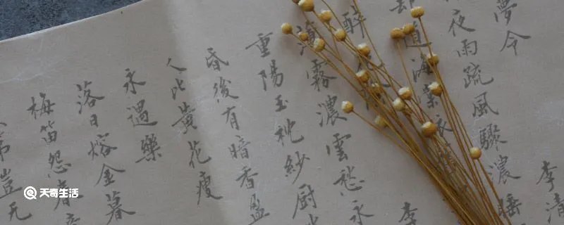杳怎么读