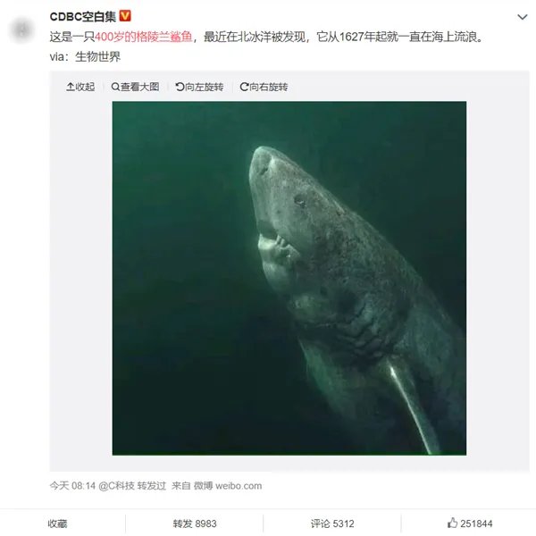 400岁的格陵兰鲨鱼火了：出生于明朝末年