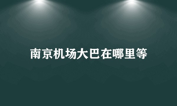 南京机场大巴在哪里等