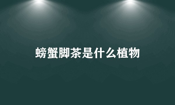 螃蟹脚茶是什么植物