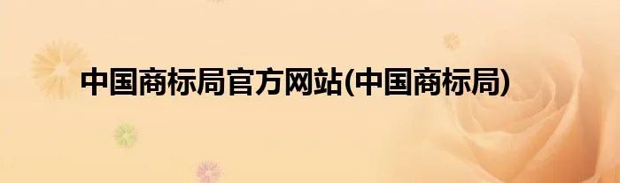 中国商标局官方网站(中国商标局)