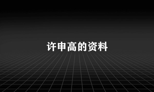 许申高的资料