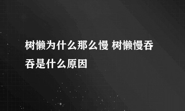 树懒为什么那么慢 树懒慢吞吞是什么原因