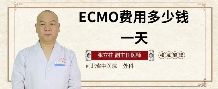 相关推荐