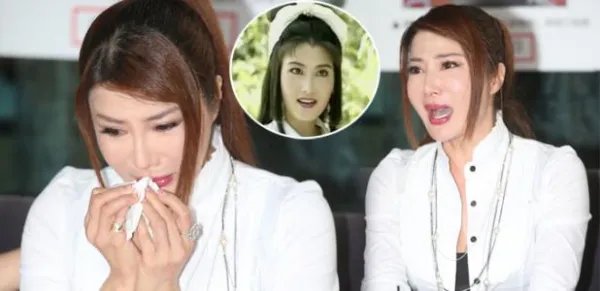 杨丽菁整容之后变成什么样子?