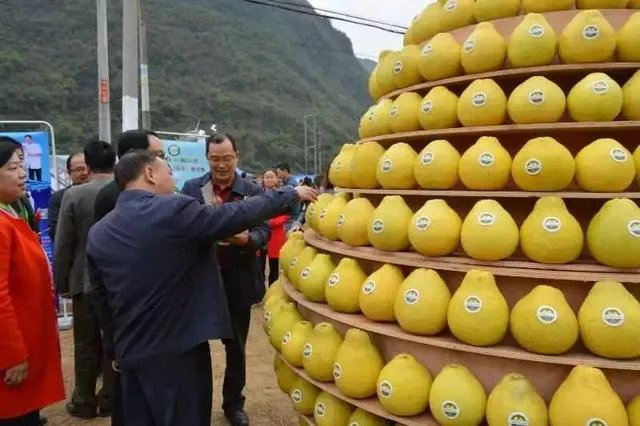 清远二日游有什么路线推荐?