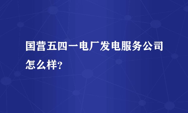 国营五四一电厂发电服务公司怎么样？