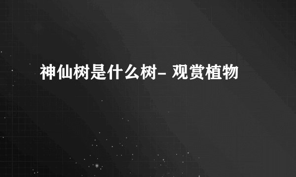 神仙树是什么树- 观赏植物