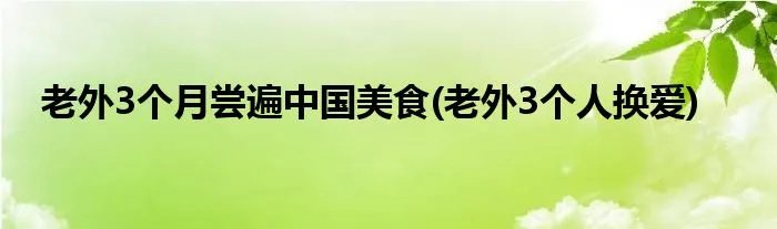 老外3个月尝遍中国美食(老外3个人换爱)