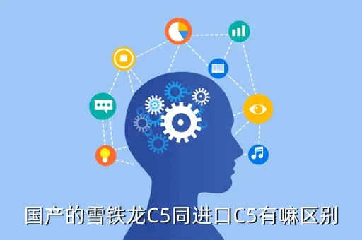 进口c5,国产的雪铁龙C5同进口C5有嘛区别