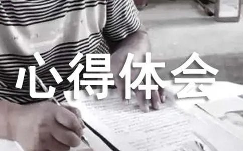 新课标心得体会