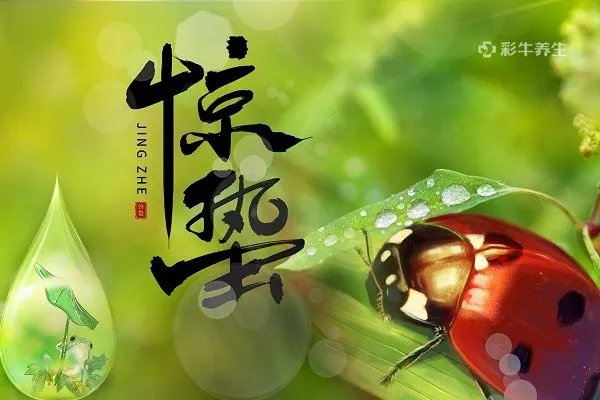 惊蛰的含义