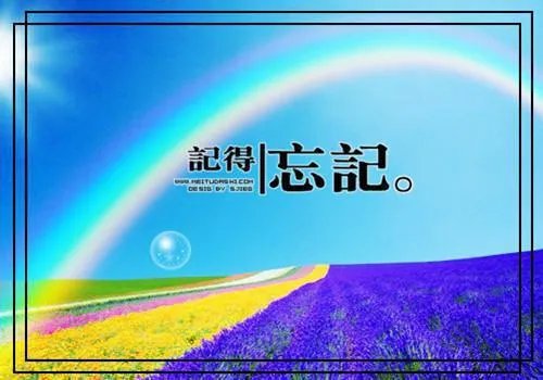 大夫很正经陆故之小说