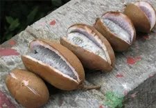 八月炸是什么?八月炸好吃吗?