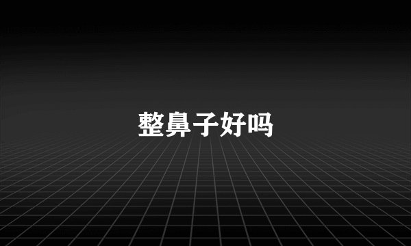 整鼻子好吗
