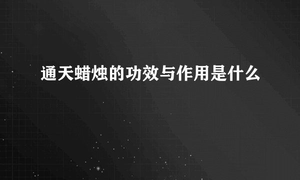 通天蜡烛的功效与作用是什么