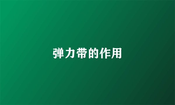 弹力带的作用