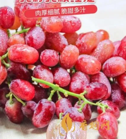 美国红提子葡萄洒多少钱