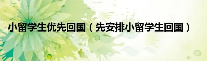 小留学生优先回国（先安排小留学生回国）
