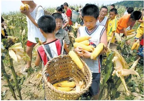 建议鼓励大中小学开设学农实践，对学生有哪些利处？