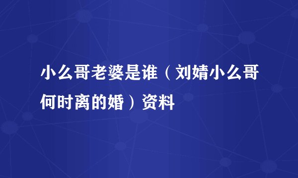小么哥老婆是谁（刘婧小么哥何时离的婚）资料