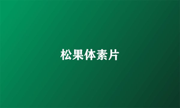 松果体素片