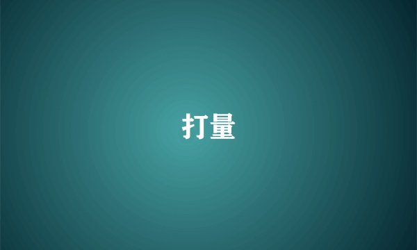 打量