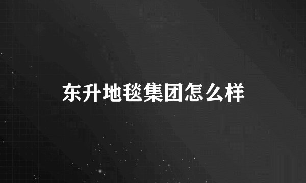 东升地毯集团怎么样