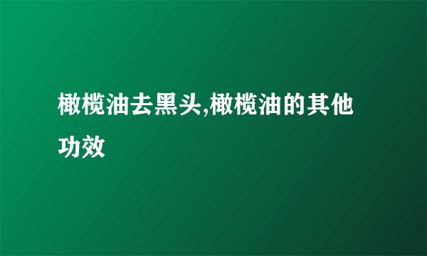 橄榄油去黑头,橄榄油的其他功效
