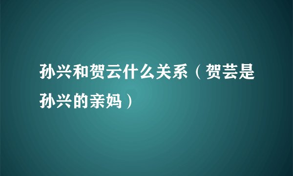 孙兴和贺云什么关系（贺芸是孙兴的亲妈）