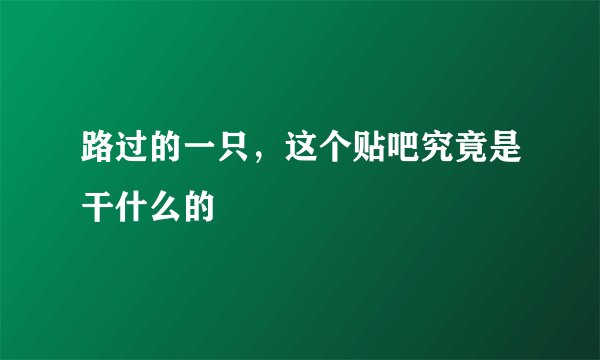 路过的一只，这个贴吧究竟是干什么的
