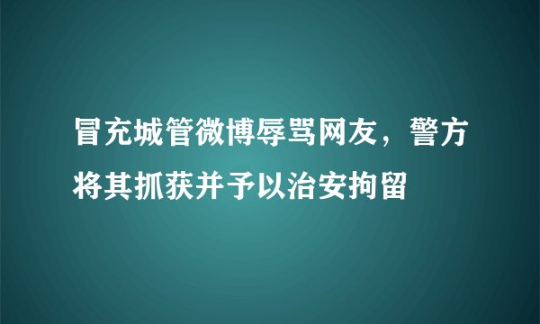 冒充城管微博辱骂网友，警方将其抓获并予以治安拘留