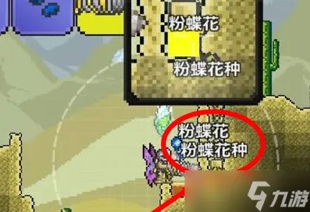 泰拉瑞亚粉蝶花怎么获得 粉蝶花获取攻略