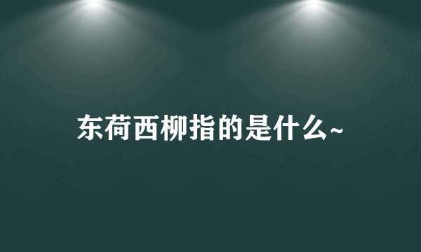 东荷西柳指的是什么~