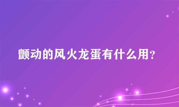 颤动的风火龙蛋有什么用?