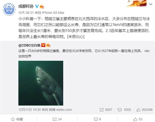 400岁的格陵兰鲨鱼火了：出生于明朝末年