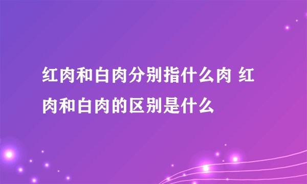 红肉和白肉分别指什么肉 红肉和白肉的区别是什么