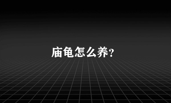 庙龟怎么养？