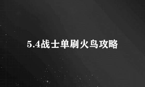 5.4战士单刷火鸟攻略