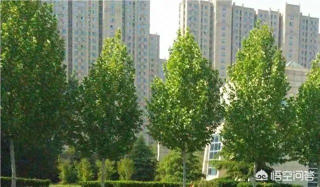 选择小学