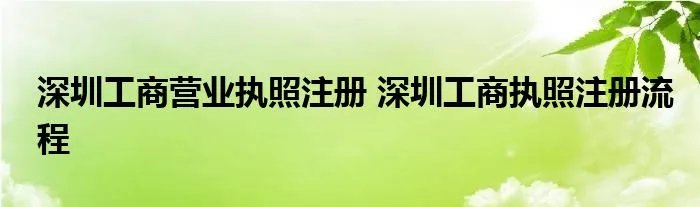 深圳工商营业执照注册 深圳工商执照注册流程