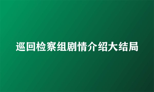 巡回检察组剧情介绍大结局