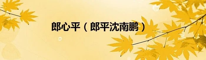 郎心平（郎平沈南鹏）
