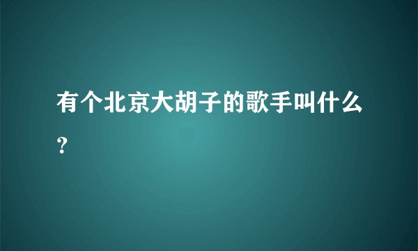有个北京大胡子的歌手叫什么?