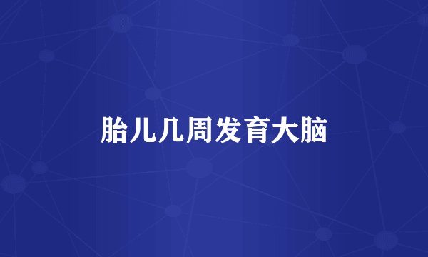 胎儿几周发育大脑