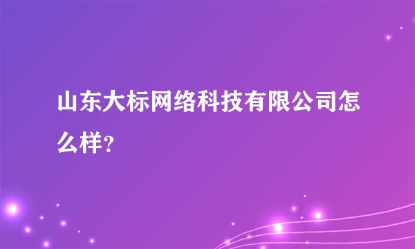 山东大标网络科技有限公司怎么样？