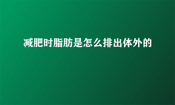 减肥时脂肪是怎么排出体外的