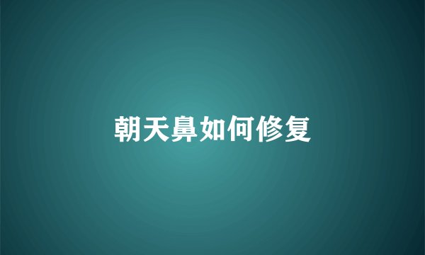 朝天鼻如何修复