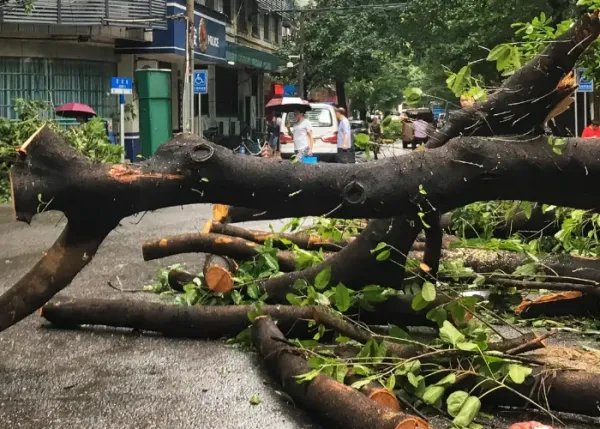 强台风“梅花”携风带雨而来,将影响我国哪些地区?